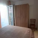 Bird Apartment